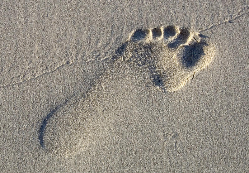 Tracking digital footprint